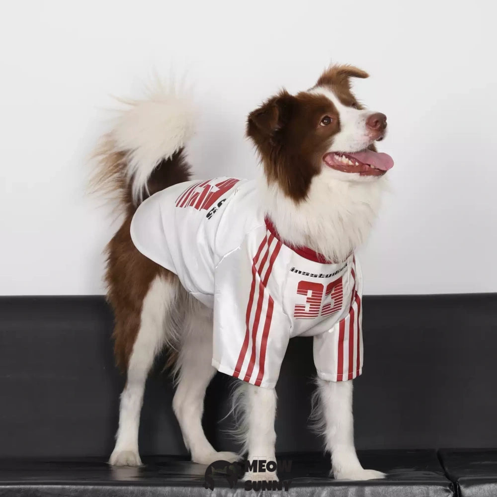 Dog Clothes Basketball Mesh Breathable T-Shirt
