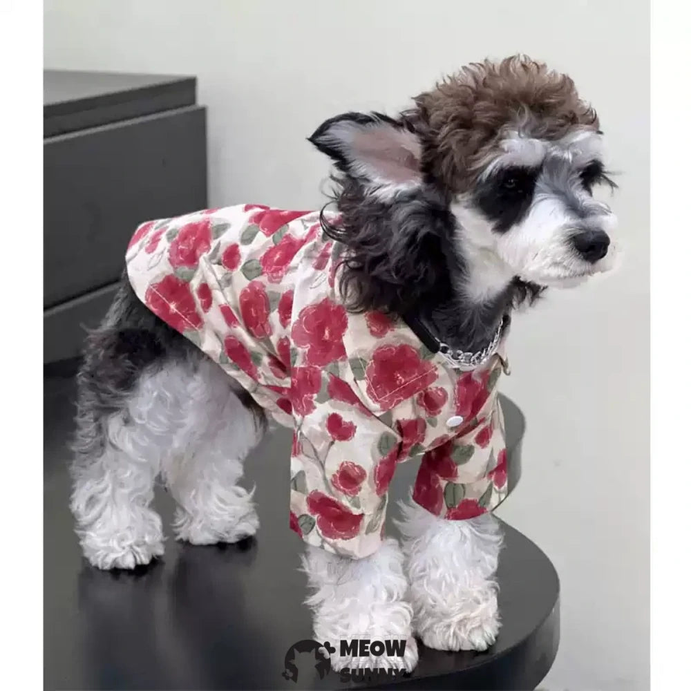 Dog Clothes Korean Style Vacation Style Summer Shirt