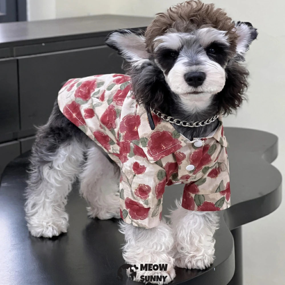 Dog Clothes Korean Style Vacation Style Summer Shirt