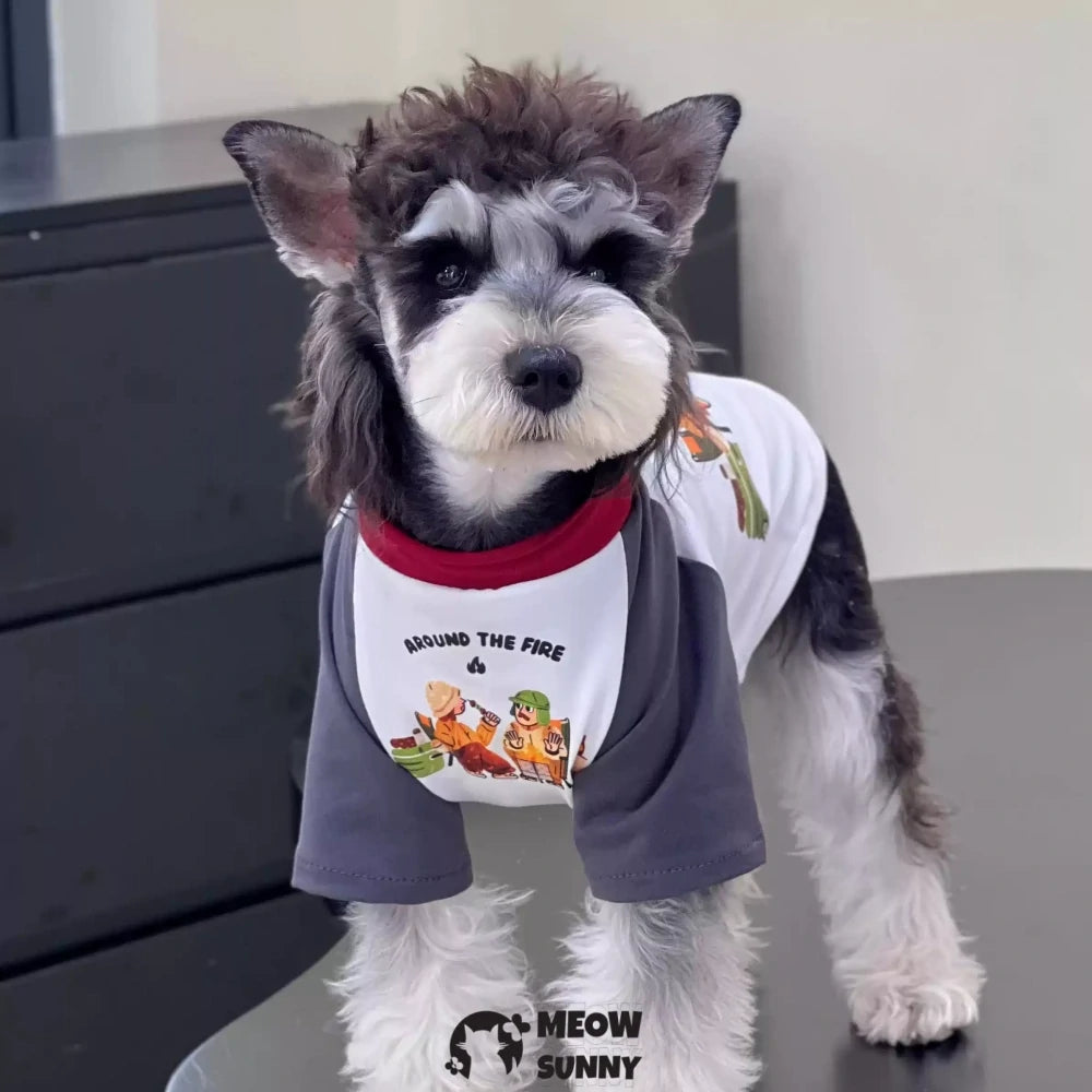 Dog Clothes Summer Cotton Colorblock BBQ T-shirt