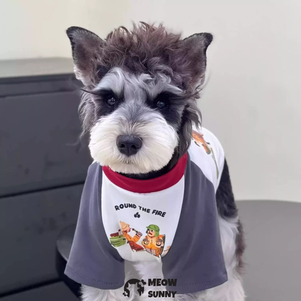 Dog Clothes Summer Cotton Colorblock BBQ T-shirt