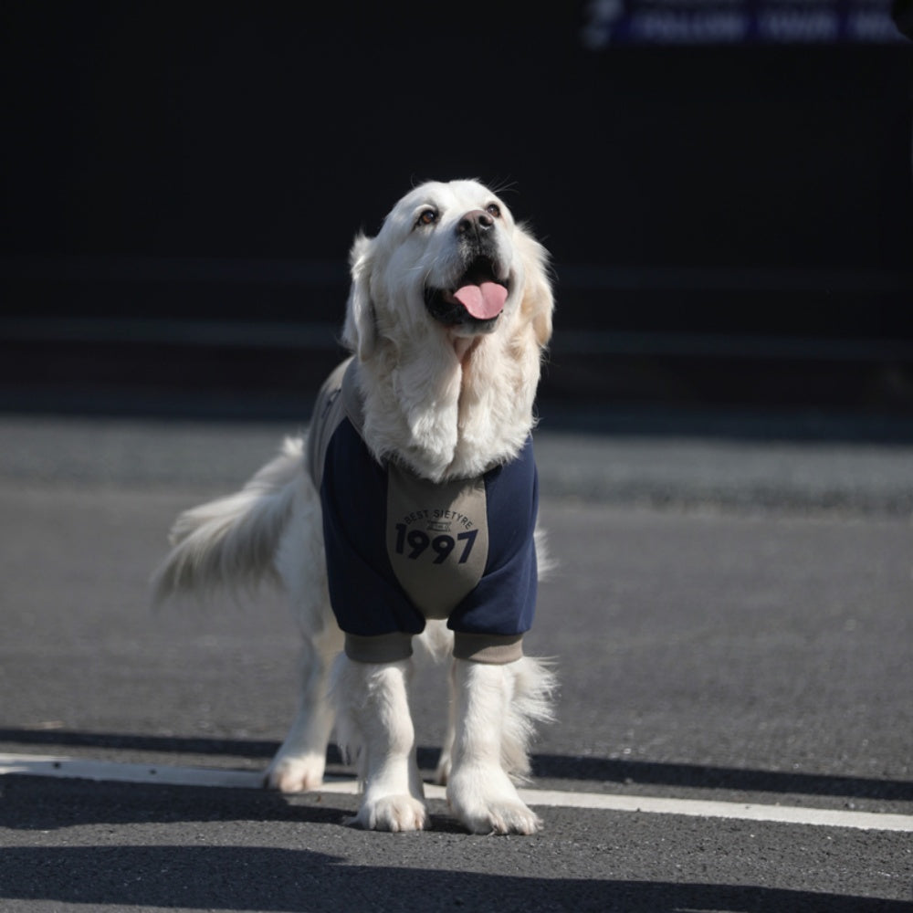 Dog Gray Blue Hoodie Pullover Stylish Apparel for Large Medium Dogs