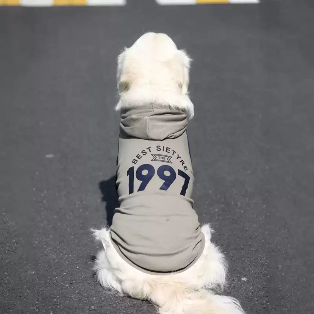 Dog Gray Blue Hoodie Pullover Stylish Apparel for Large Medium Dogs