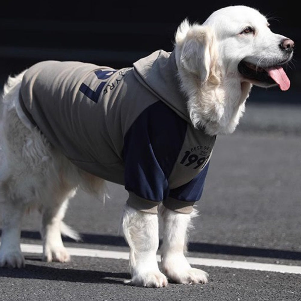 Dog Gray Blue Hoodie Pullover Stylish Apparel for Large Medium Dogs
