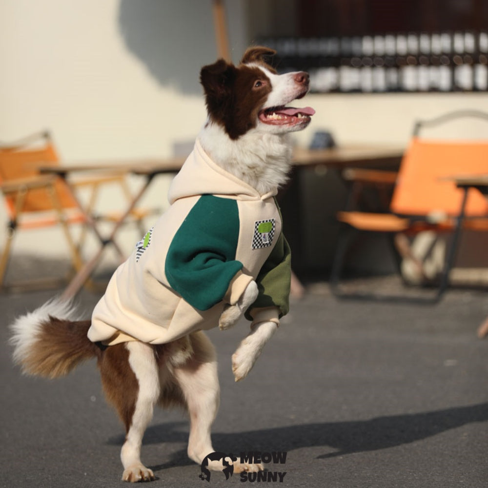 Dog Hoodie Security Dog Sweater Sweatshirt Hooded 2-110lbs