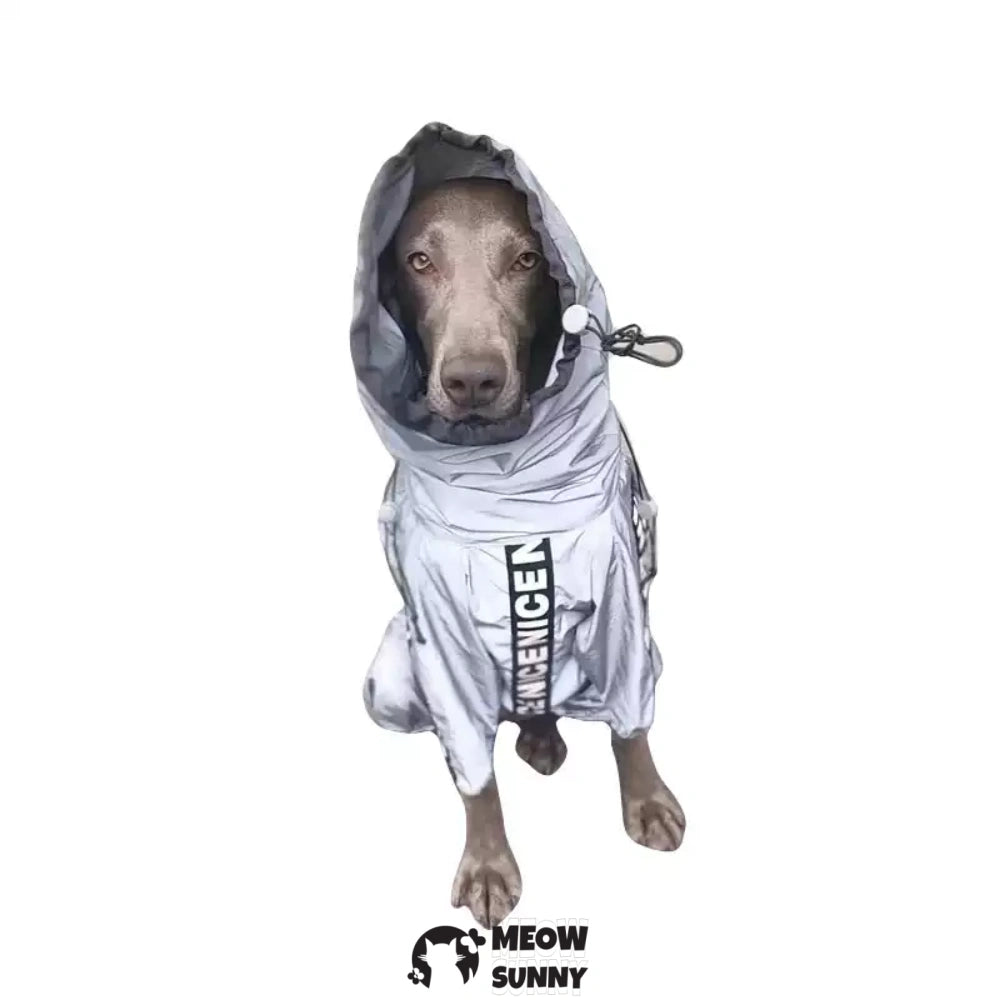 Dog Lightweight Windbreaker, Pet Outdoor Sports Jacket,Easy on