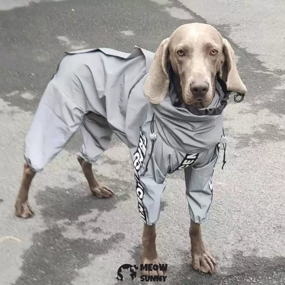 Dog Lightweight Windbreaker, Pet Outdoor Sports Jacket,Easy on