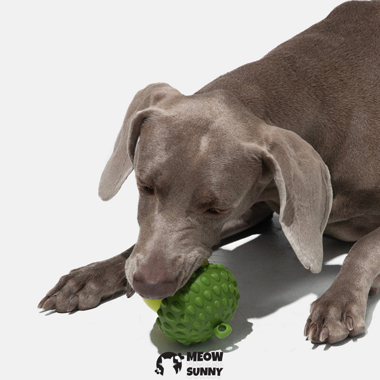 Dog Puzzle Toys Rubber Chew Toys(cute pine cones)