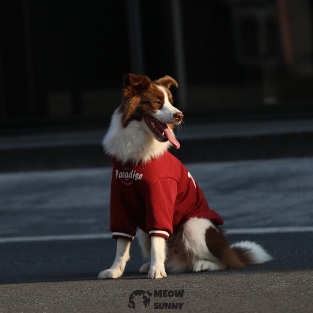 Dog Red Hoodie Pullover Stylish Apparel for Large Medium Dogs