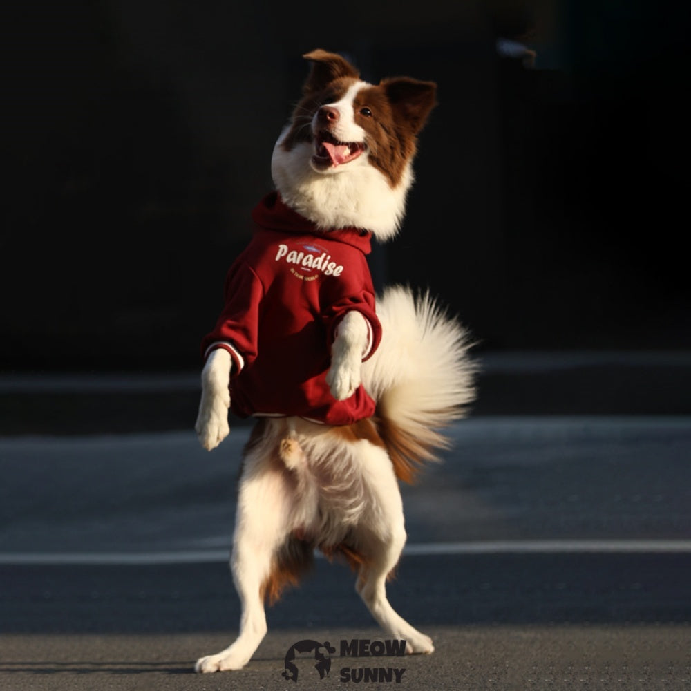 Dog Red Hoodie Pullover Stylish Apparel for Large Medium Dogs