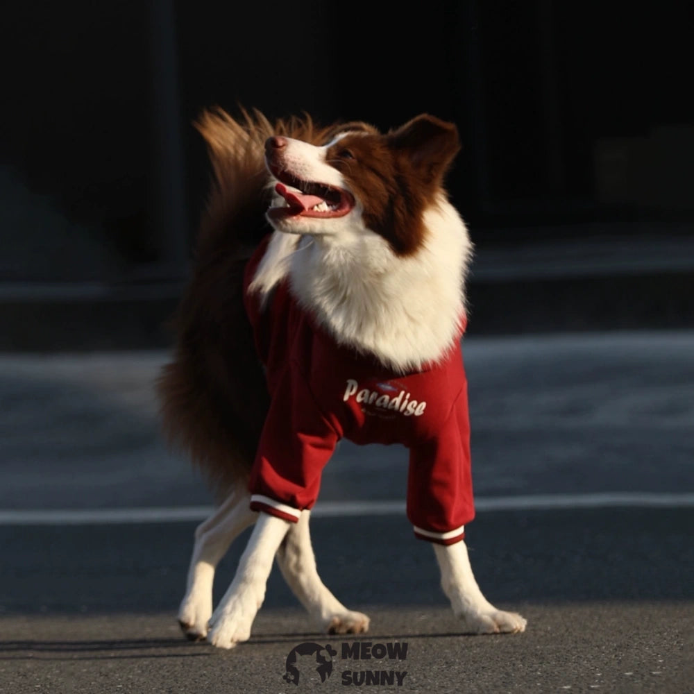 Dog Red Hoodie Pullover Stylish Apparel for Large Medium Dogs
