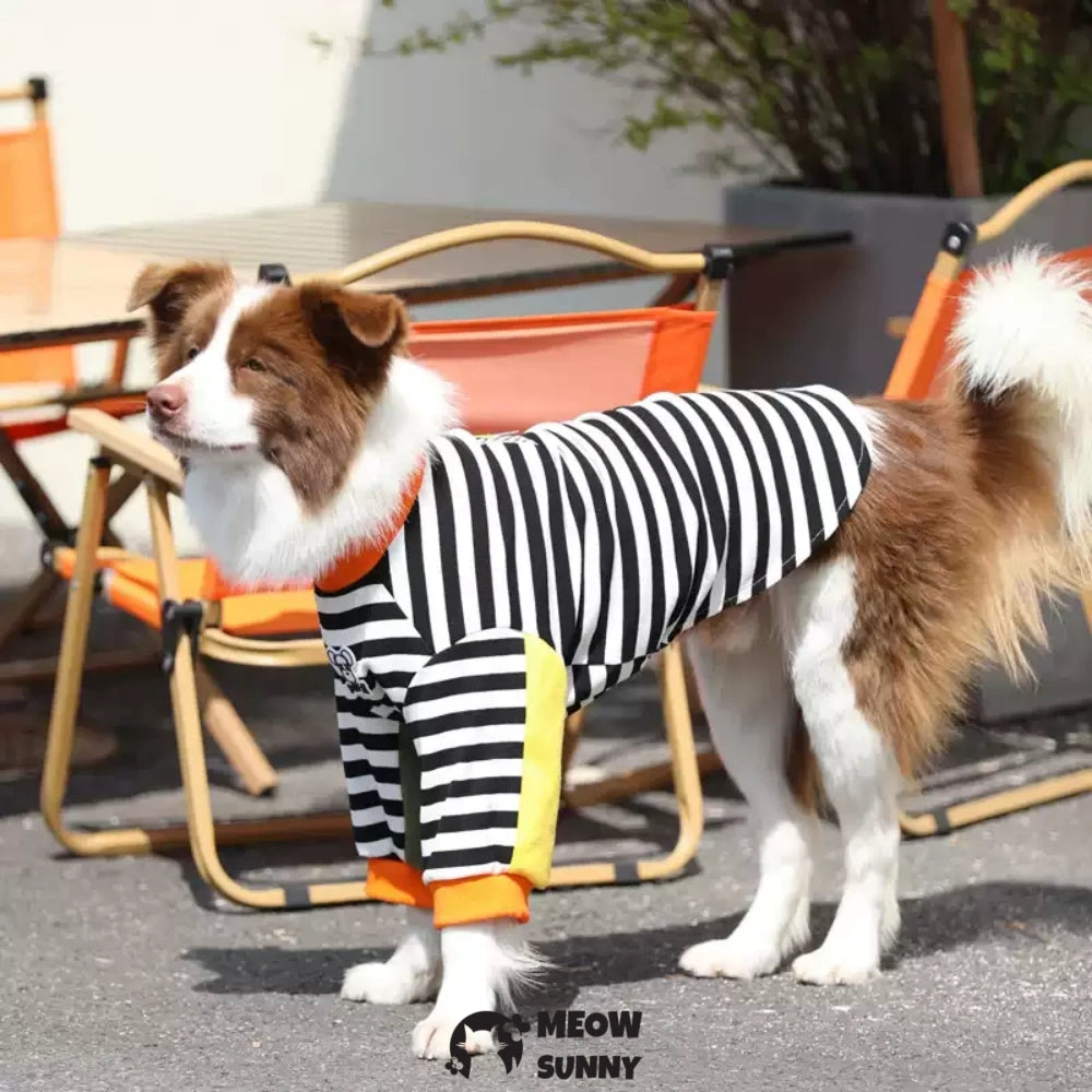 Dog Shirt Cute Doggie Embroidery Super Soft Dog Sweatshirt