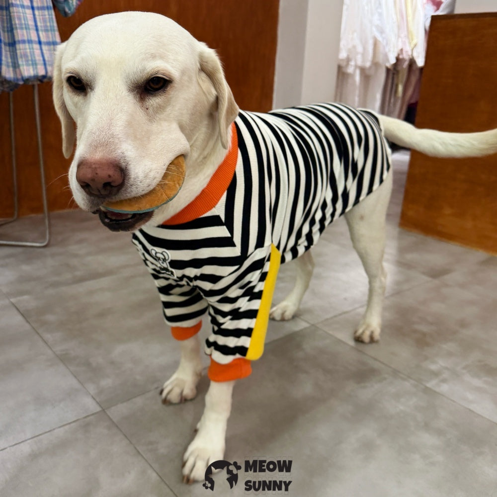 Dog Shirt Cute Doggie Embroidery Super Soft Dog Sweatshirt