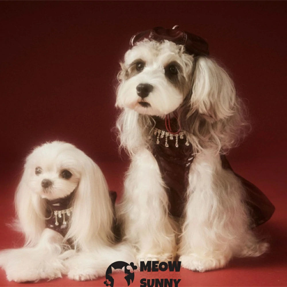 Dog Skirt Teddy Bichon Maltese Leather Skirt Vest