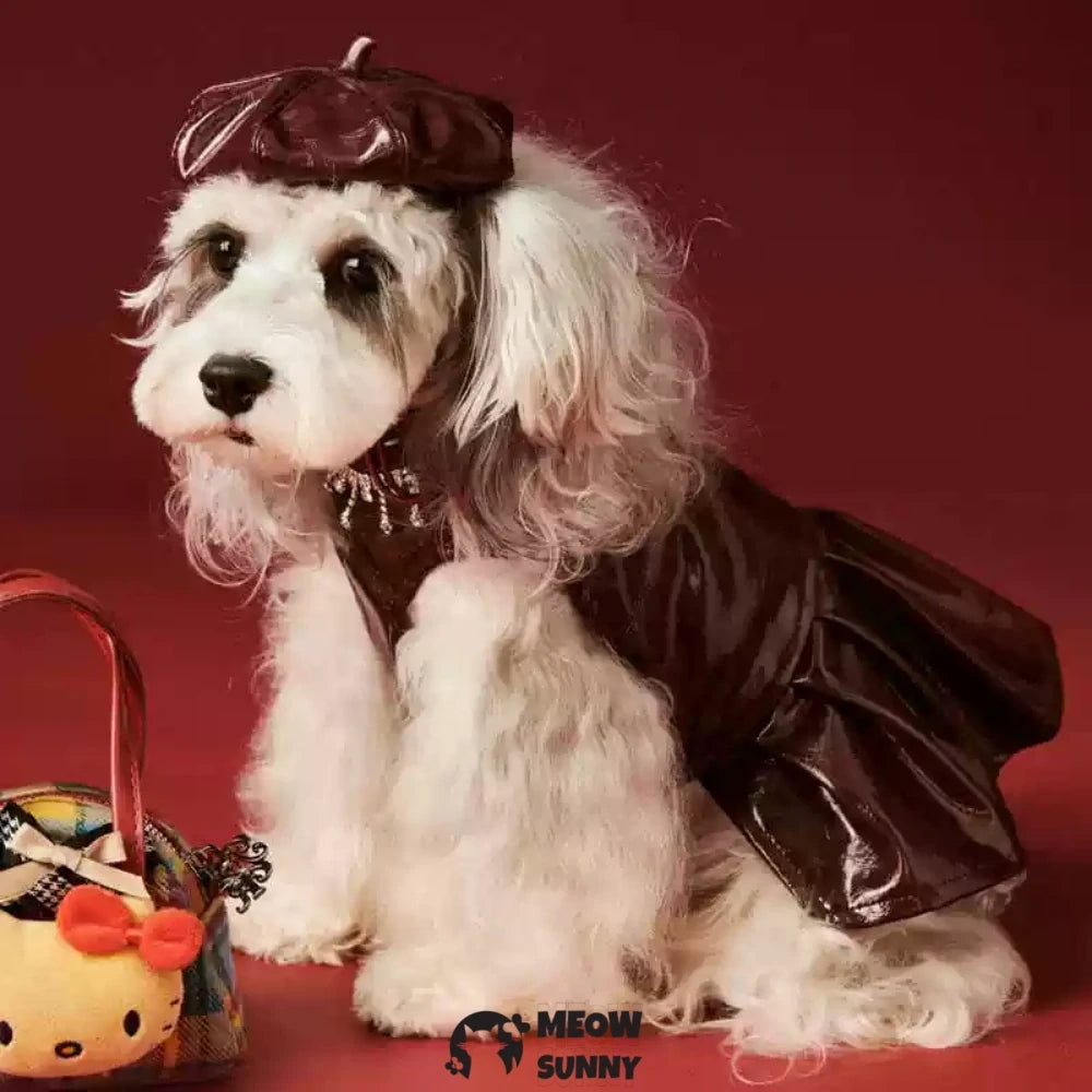 Dog Skirt Teddy Bichon Maltese Leather Skirt Vest