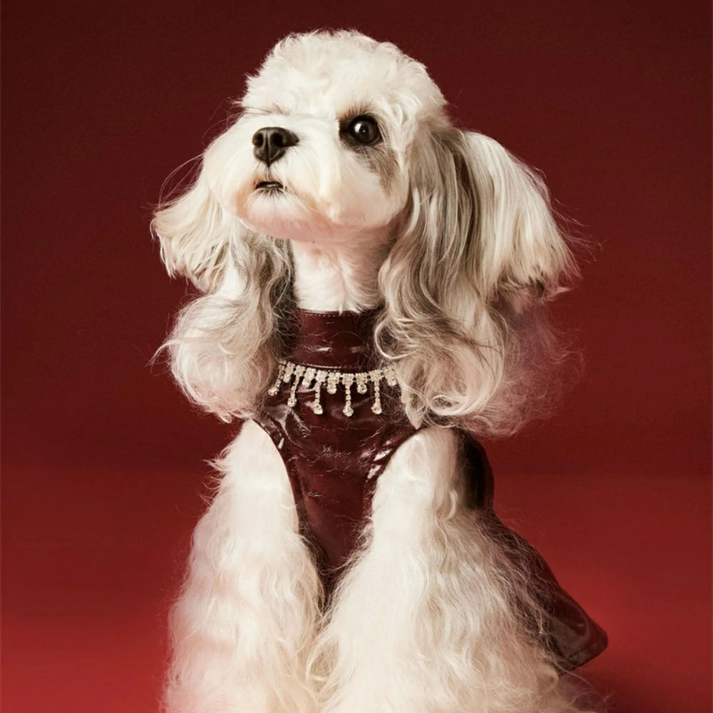 Dog Skirt Teddy Bichon Maltese Leather Skirt Vest