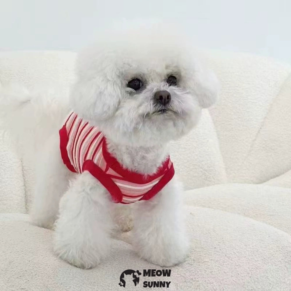 Dog Striped T-Shirt Cotton Breathable Pet Apparel Colorful bodysuit