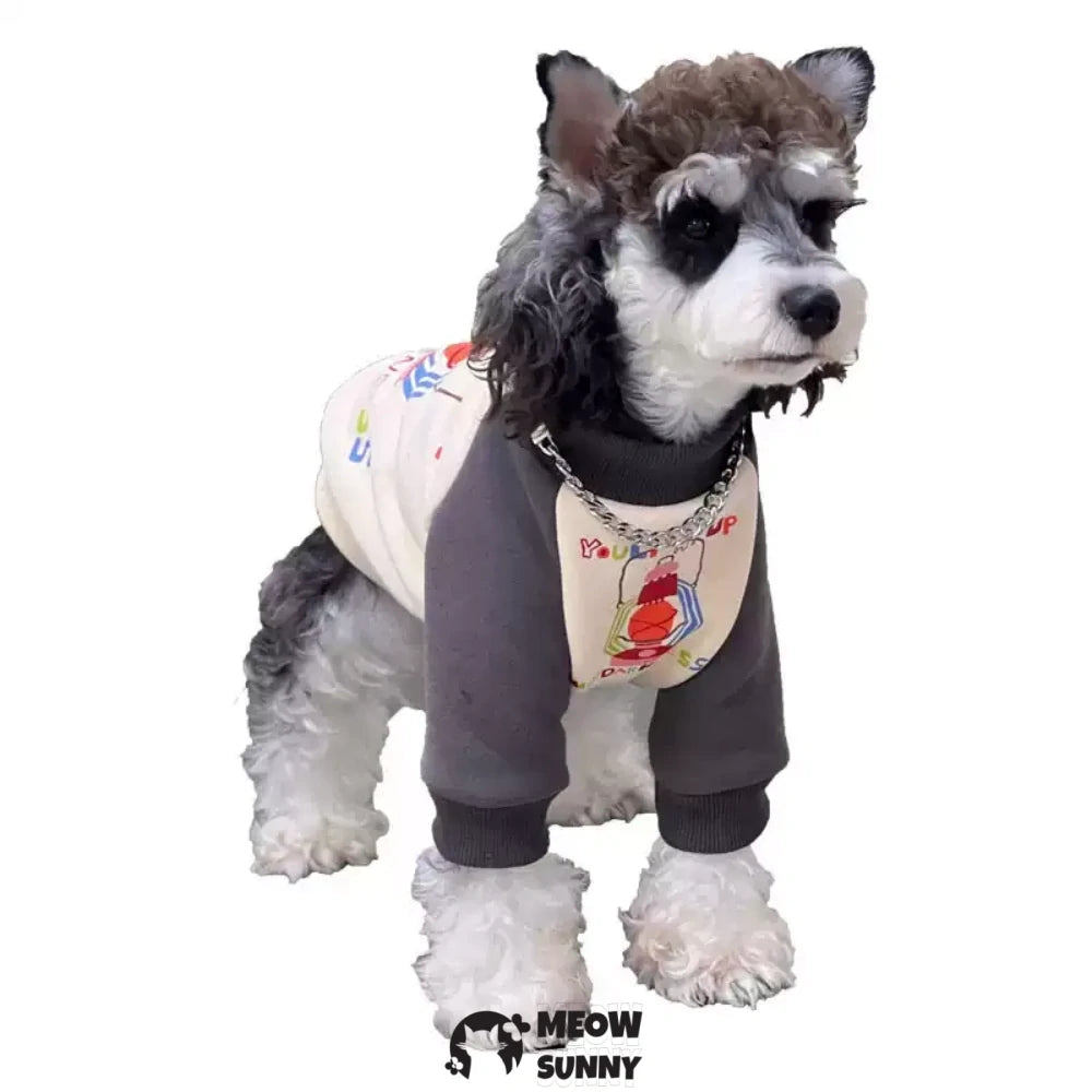 Dog autumn and winter fleece cotton colorful sweatshirt