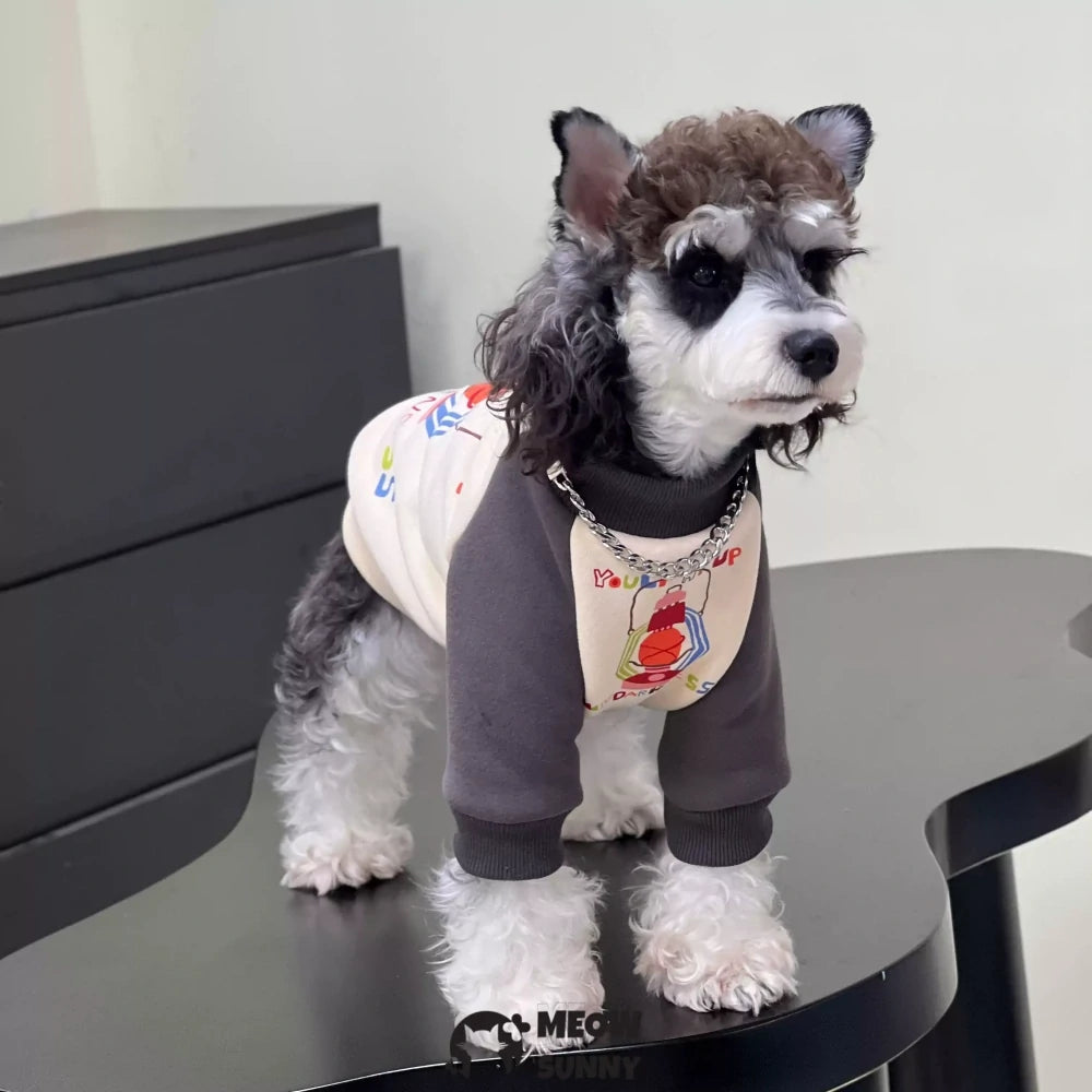 Dog autumn and winter fleece cotton colorful sweatshirt