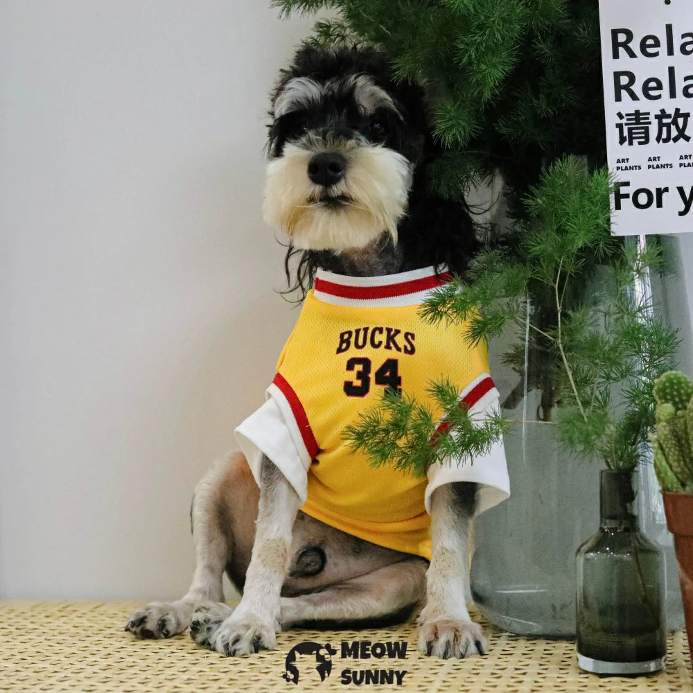 Dog clothes Summer thin breathable air jersey Sun protection clothes