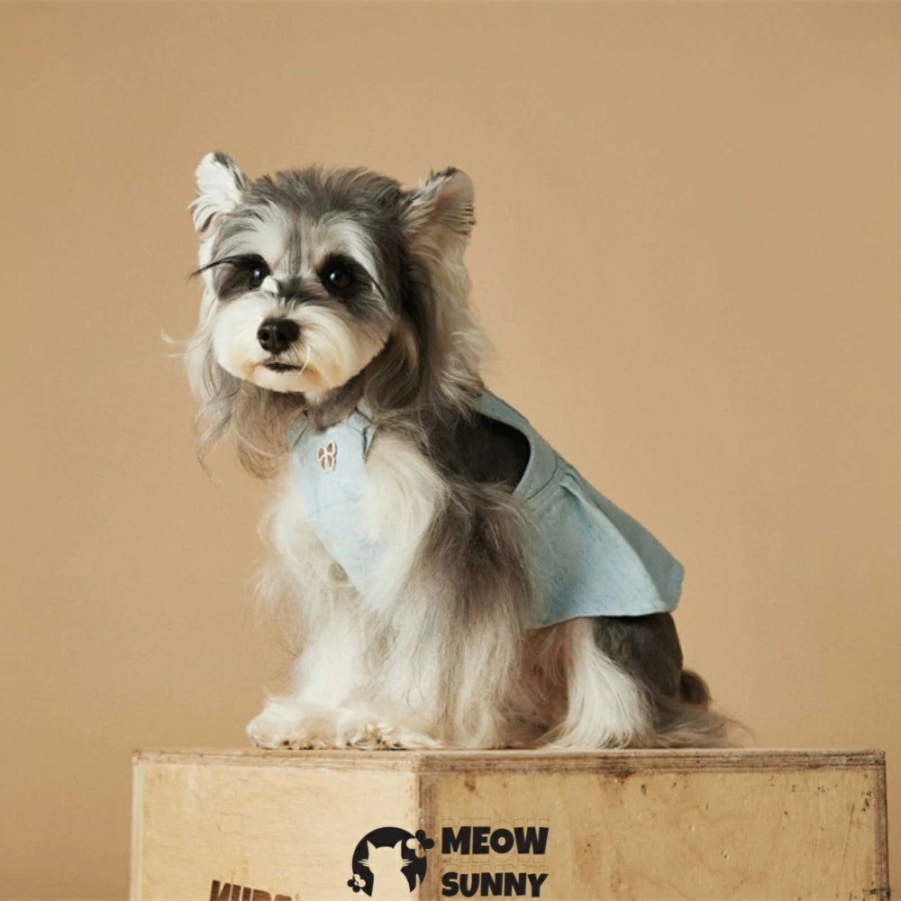 Dog clothes denim overalls puppy skirt