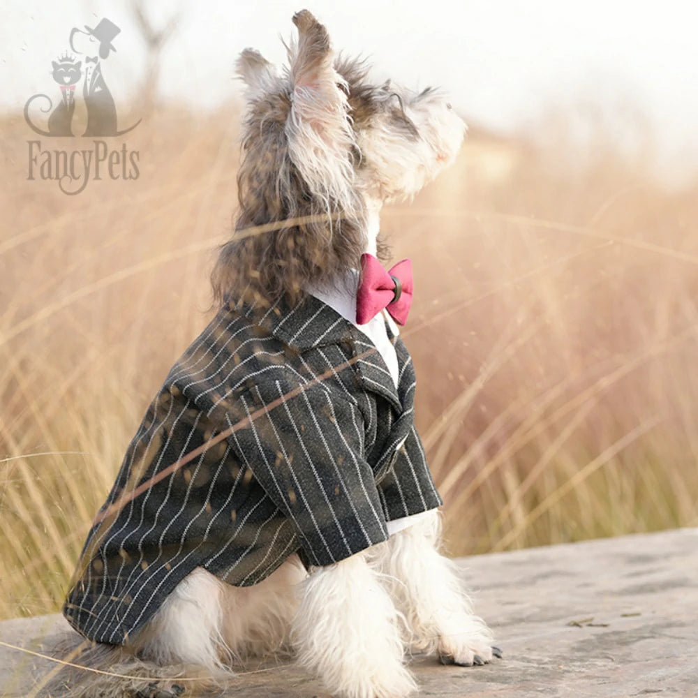 Dog suit dress super small and medium-sized dog pet wedding clothes