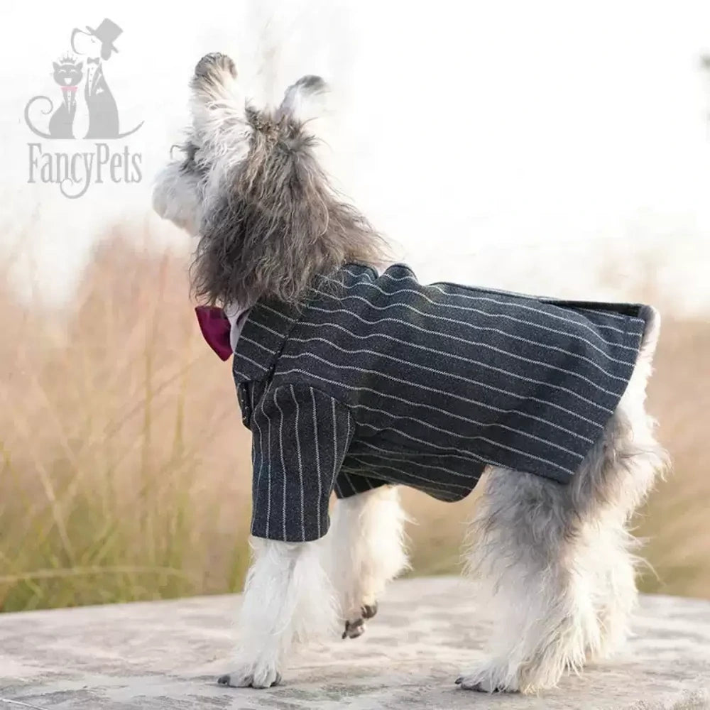 Dog suit dress super small and medium-sized dog pet wedding clothes