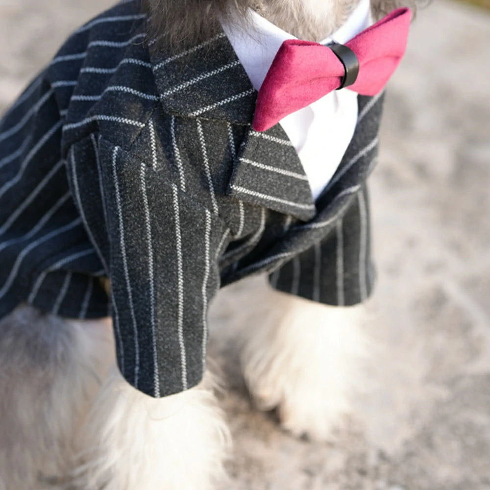 Dog suit dress super small and medium-sized dog pet wedding clothes