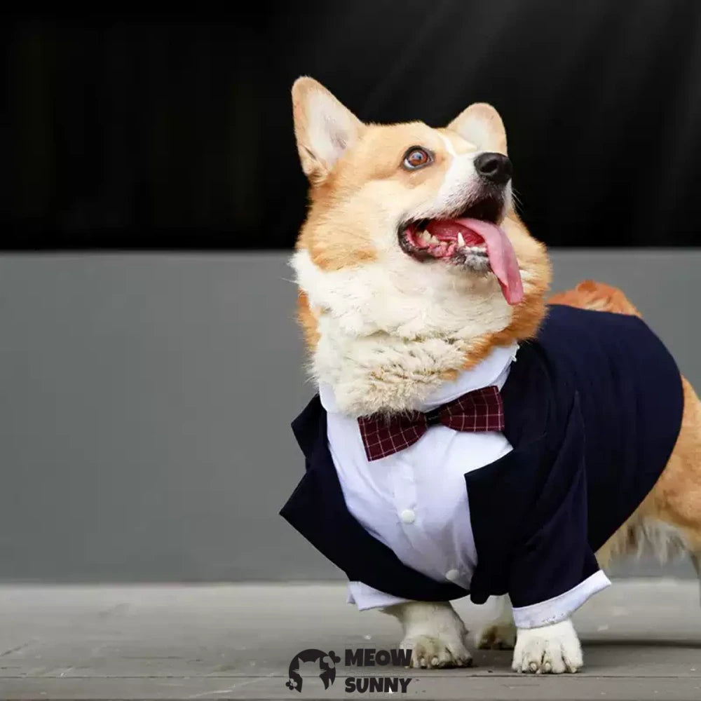 Dog suit wedding pet suit handsome clothes