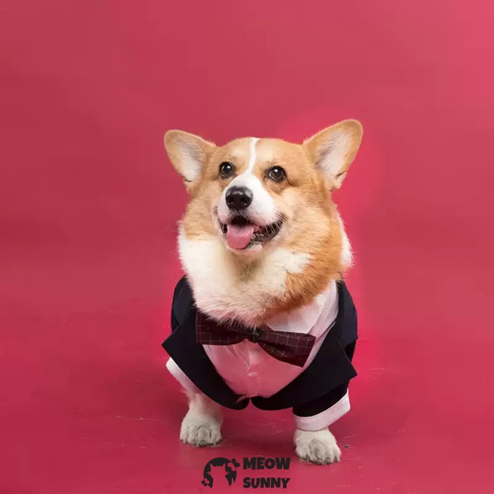 Dog suit wedding pet suit handsome clothes