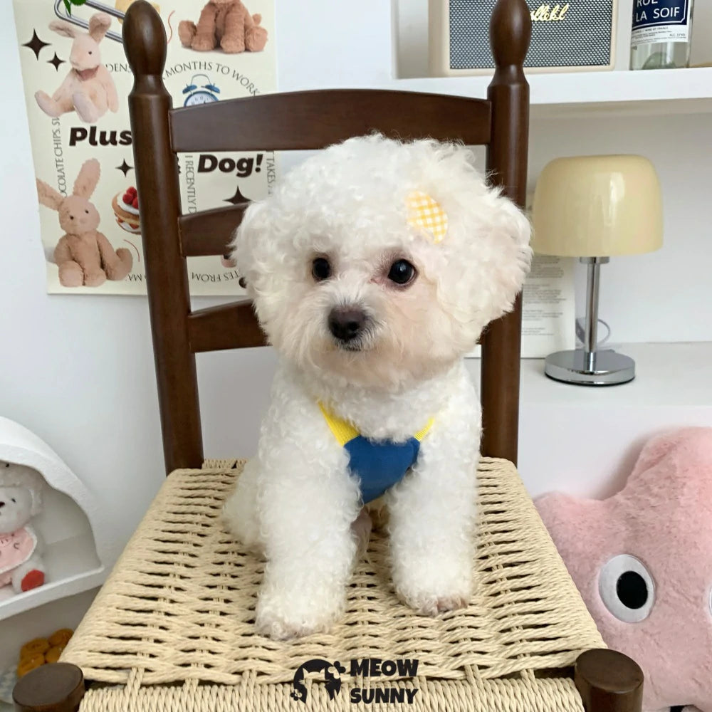 Dog vest style dog leash clothes chest back for walking