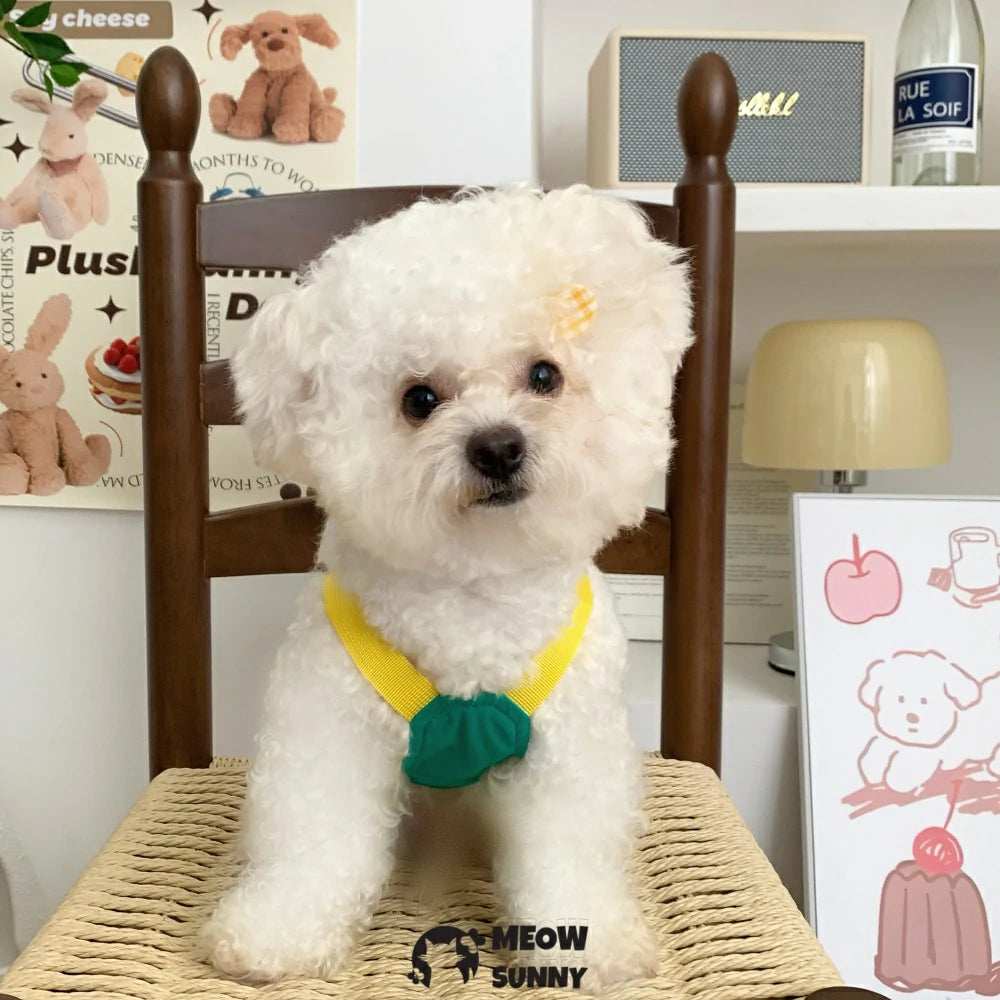 Dog vest style dog leash clothes chest back for walking