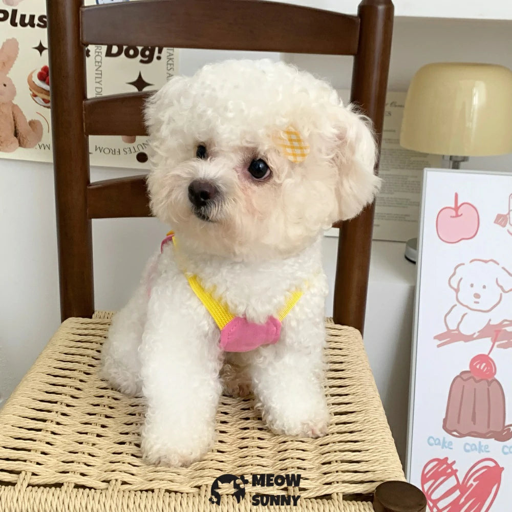 Dog vest style dog leash clothes chest back for walking