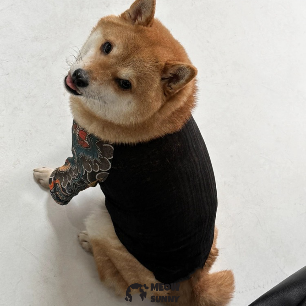 Domineering striped small dog T-shirt, soft cotton women's dog clothing