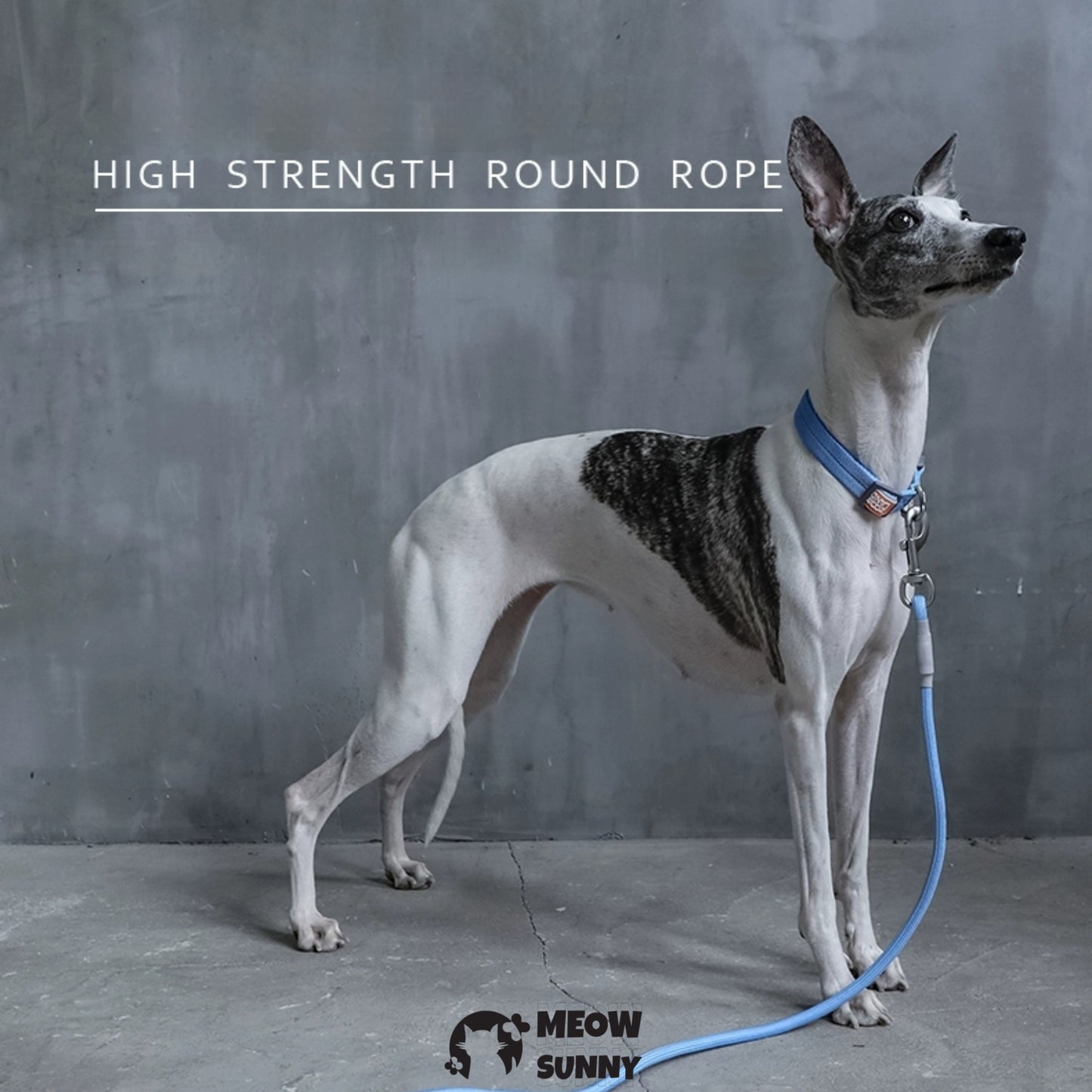 Traction Rope & Collar Set Dog Leash Dog Walking Rope Collar