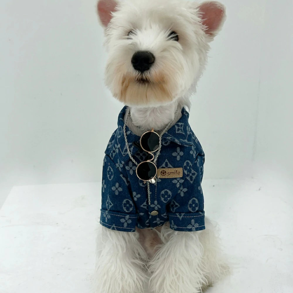 Fashionable Denim Dog Jacket, Suitable for Dogs to wear All Year Round