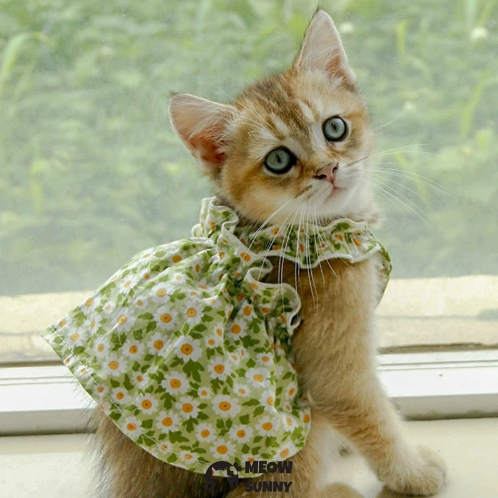 Floral Print Cat Dress with Satin Bow and Pearl for Cats