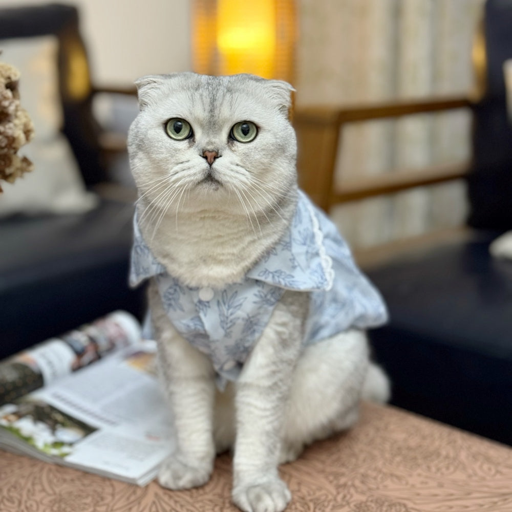 French Bulldog Princess Dress SummerVest Gauze Blue Skirt