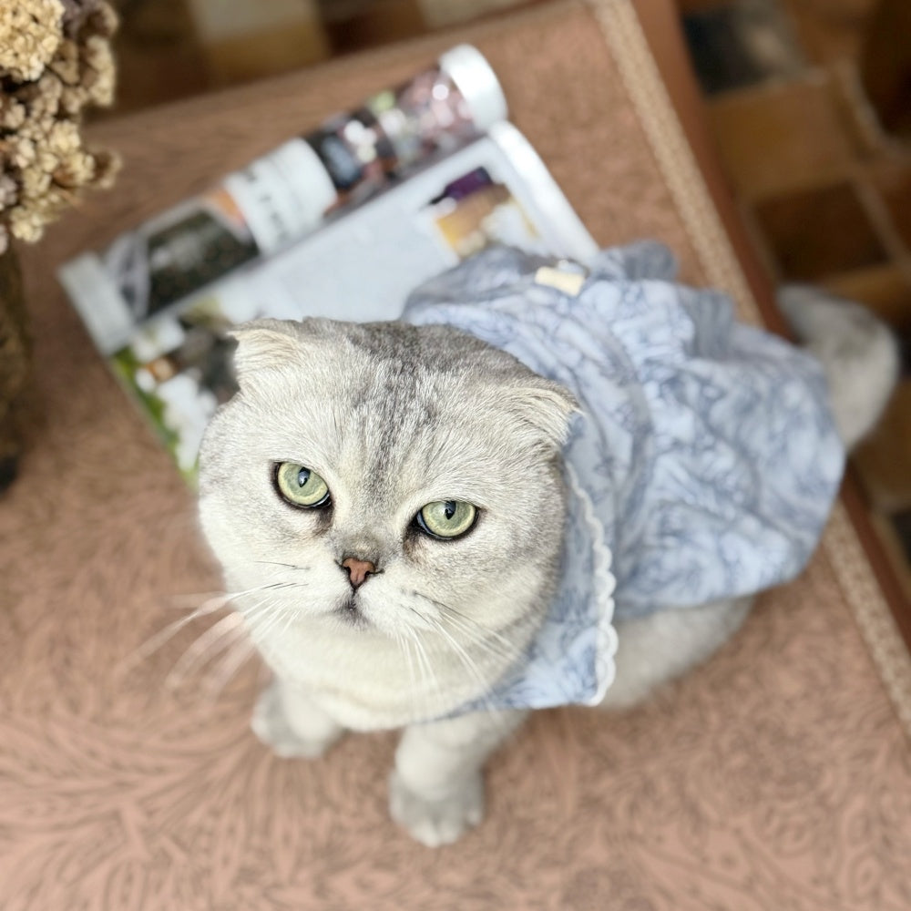 French Bulldog Princess Dress SummerVest Gauze Blue Skirt