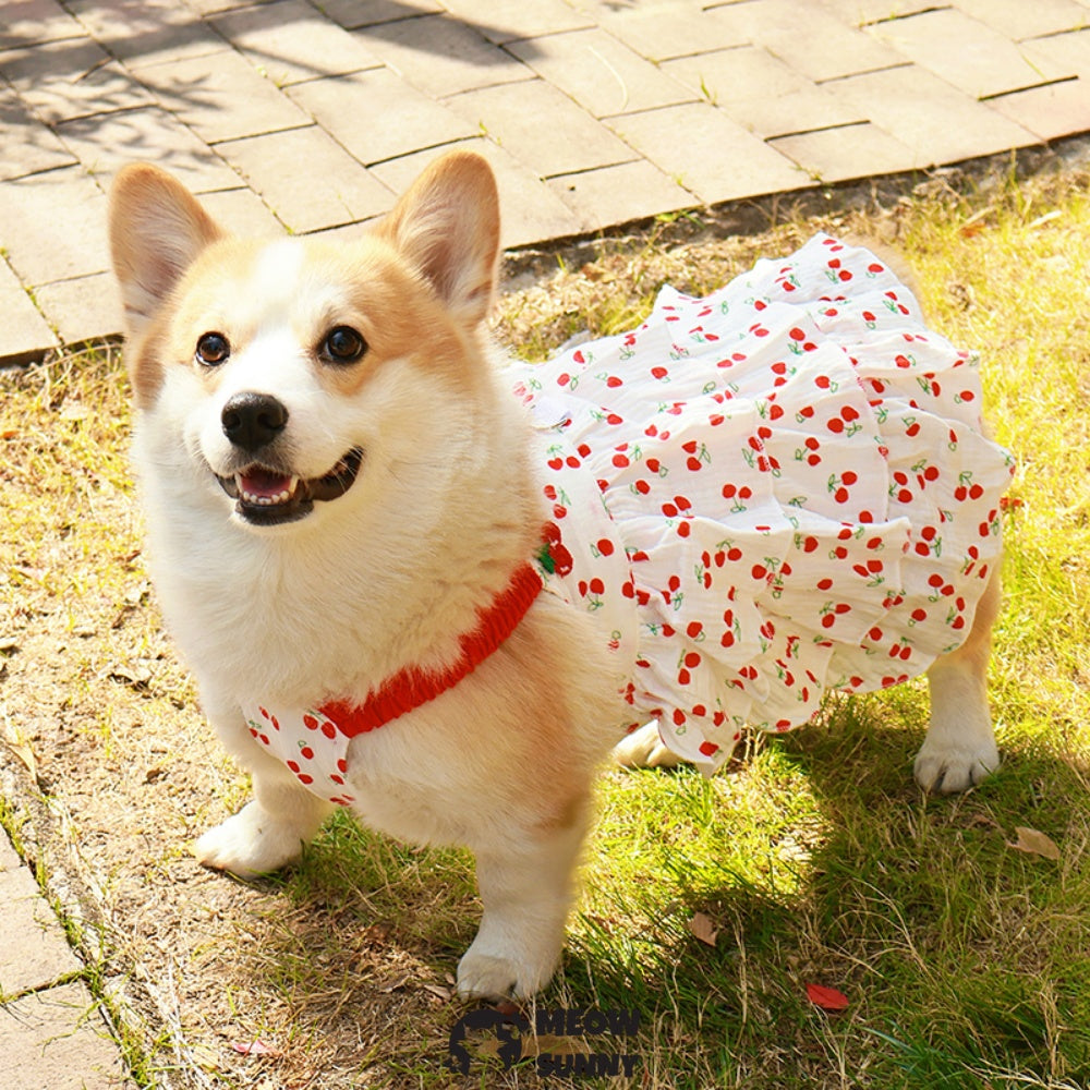 French Bulldog Purple Plaid Slip Dress with Bowknot Summer Pink Vest