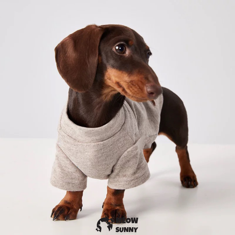 Friendly Dog T-Shirts for Small Dogs, Plain Pink Dog Tee for Spring Summer
