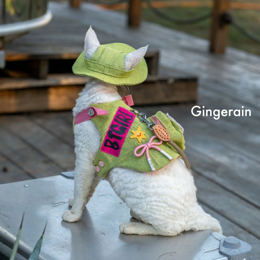 Green cute doll decoration cat denim chest leash set with hat