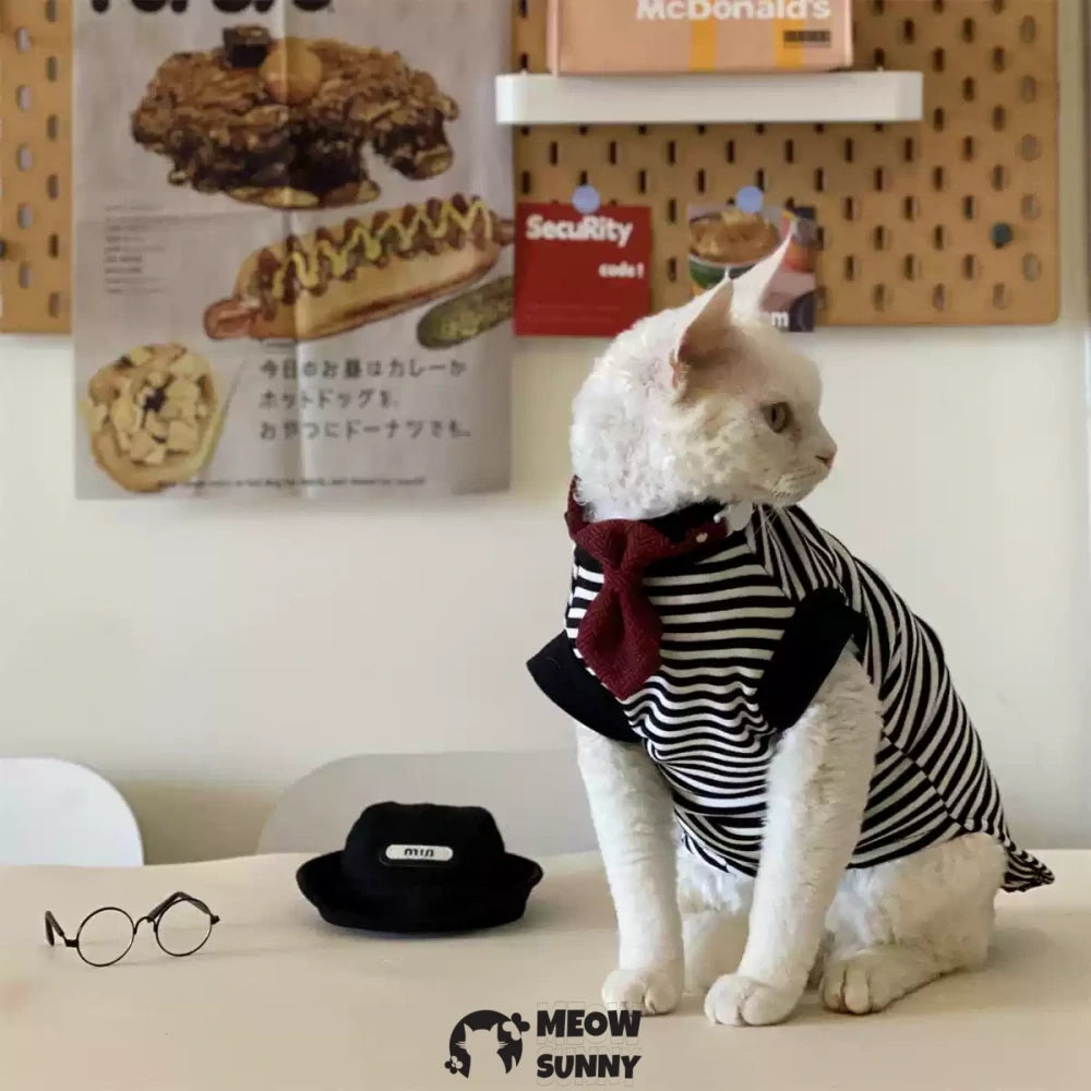 Hairless Cat Clothes Pure Cotton Striped T-shirt Vintage Bottoming Shirt