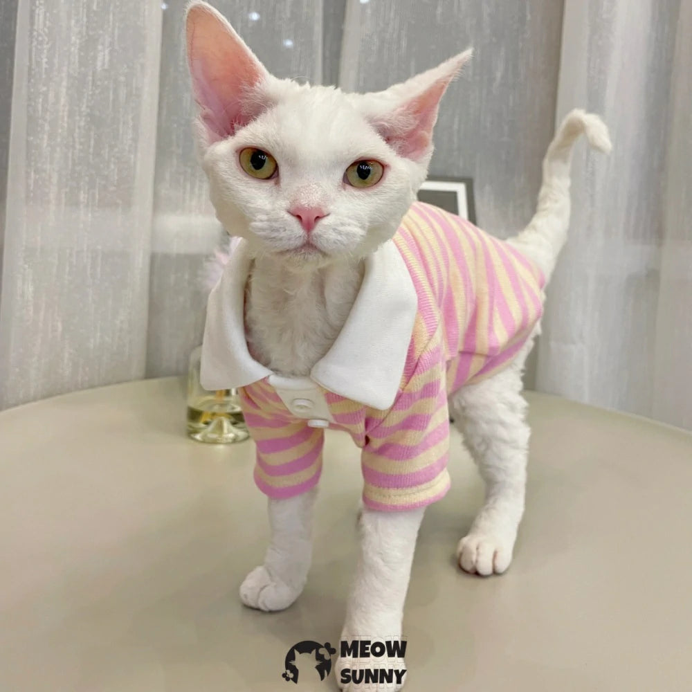 Hairless Cat Clothes Striped Sweet POLO Collar Stretch Cotton Sweater