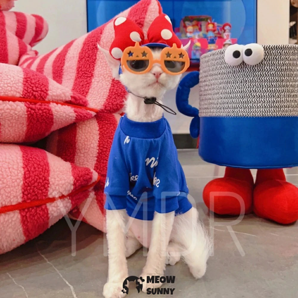Hairless cat Devon Curl blue sports thin cotton casual clothes soft