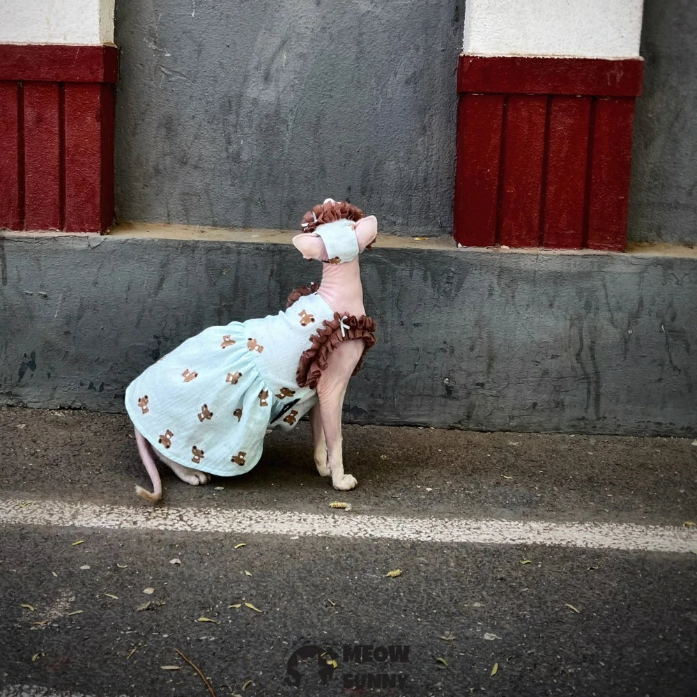 Hairless cat Devon curly cat double yarn soft cotton light blue retro bear skirt