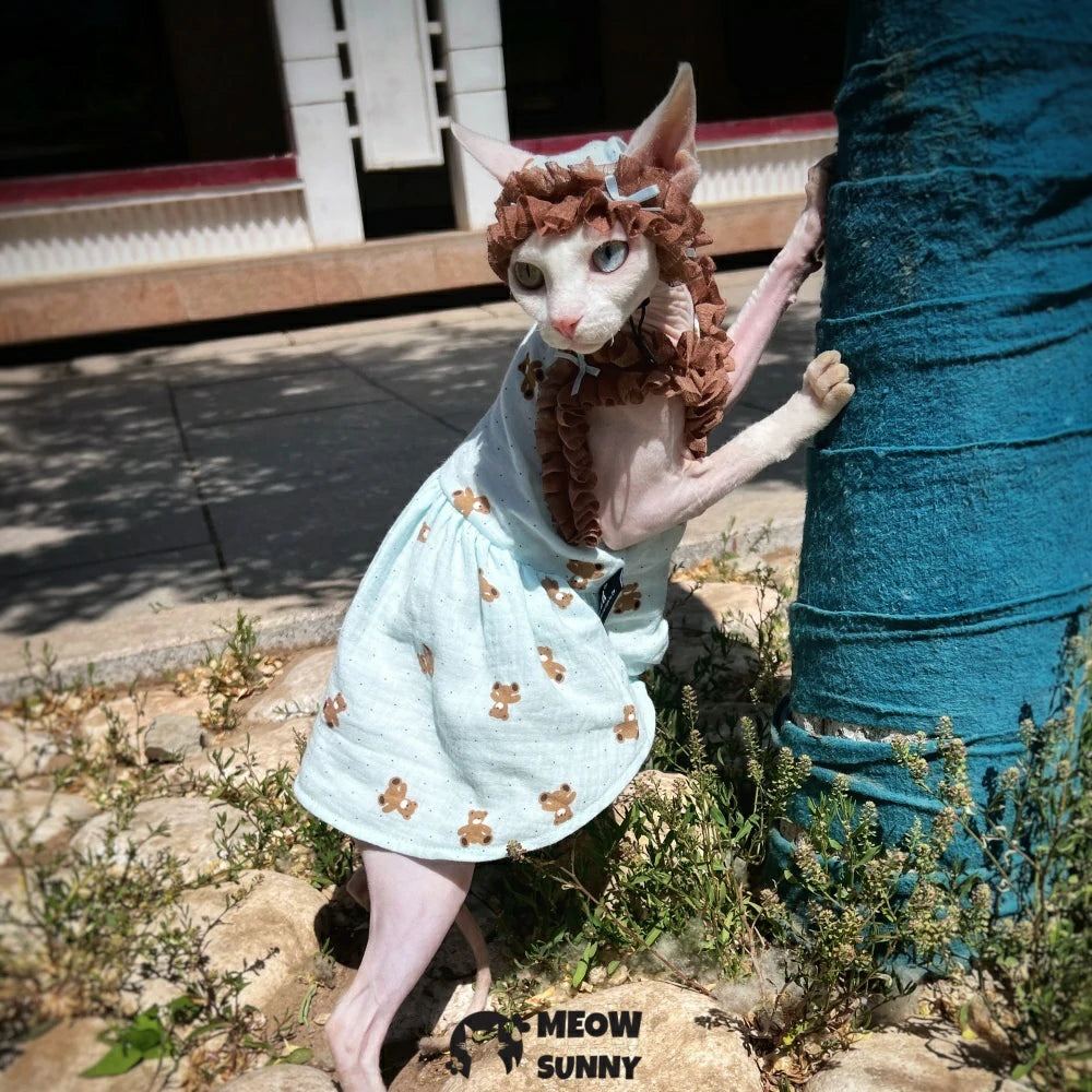Hairless cat Devon curly cat double yarn soft cotton light blue retro bear skirt