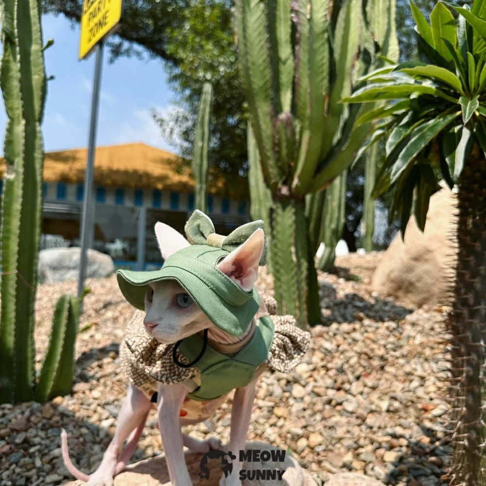 Hairless cat Xiaoxiang style outdoor traction chest back short skirt suit pure cotton vest