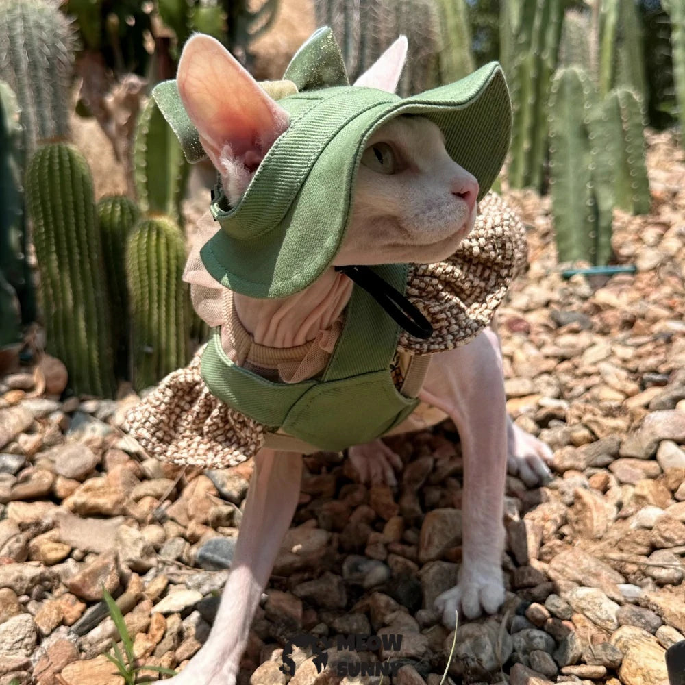 Hairless cat Xiaoxiang style outdoor traction chest back short skirt suit pure cotton vest