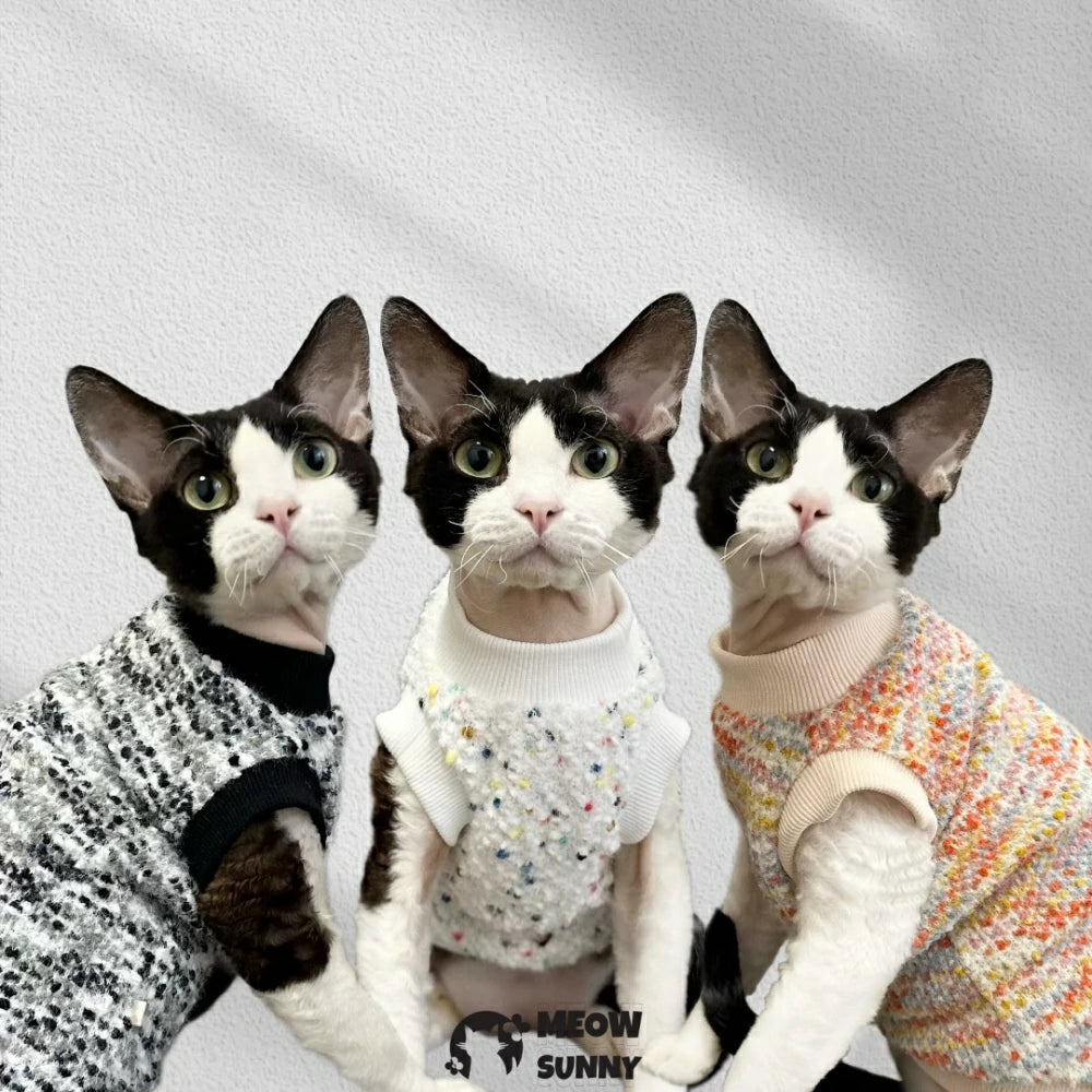 Hairless cat autumn and winter short-sleeved knitted sweater